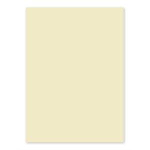 IVORY 25s 120g 8½x11