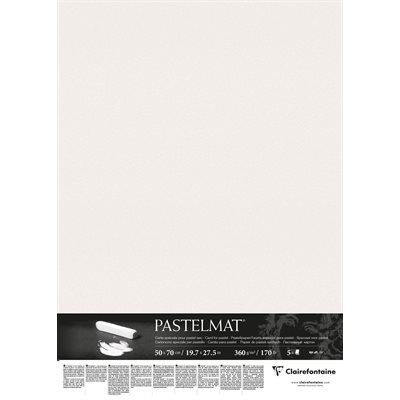 PASTELMAT 170lb 5s 20x28 WHITE