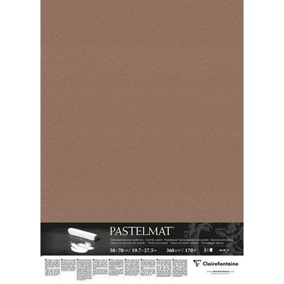 PASTELMAT 170lb 5s 20x28 BROWN