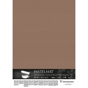 PASTELMAT 170lb 5s 20x28 BROWN