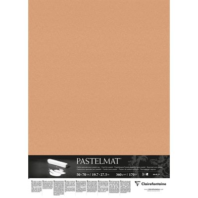 PASTELMAT 170lb 5s 20x28 SIENNA