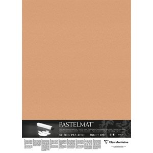 PASTELMAT 170lb 5s 20x28 SIENNA