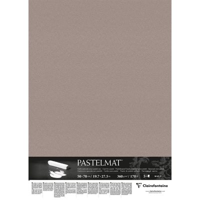 PASTELMAT 170lb 5s 20x28 DARK GREY