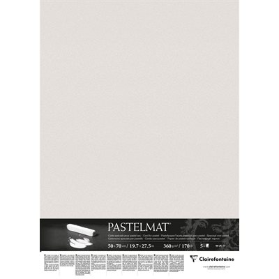 PASTELMAT 170lb 5s 20x28 LIGHT GREY