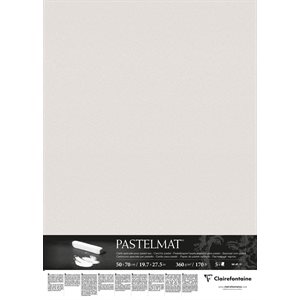 PASTELMAT 170lb 5s 20x28 LIGHT GREY