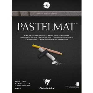 PASTELMAT 170lb 30x40 SHADES #6