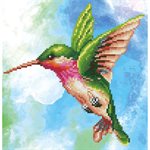 Colibri 36x37