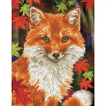 Foxy 53x43