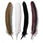 PLUMES D'OIE 28cm ASSORTIES