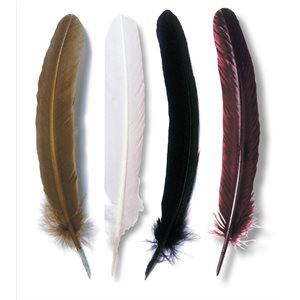 GOOSE QUILLS 28cm ASSORTED